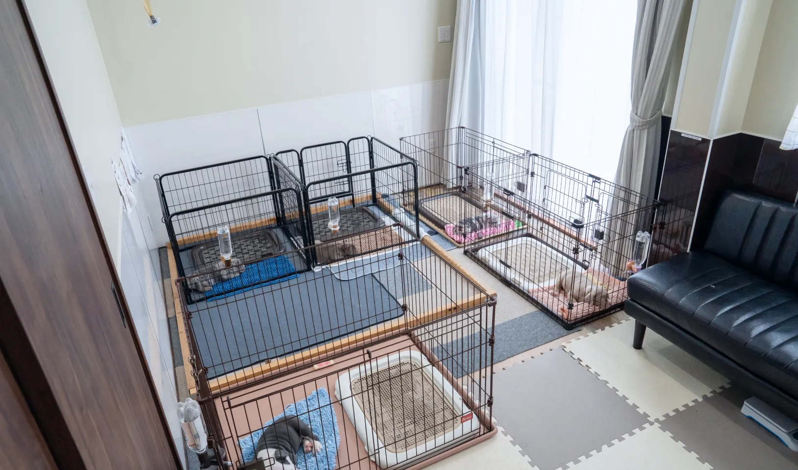 室内イメージ画像