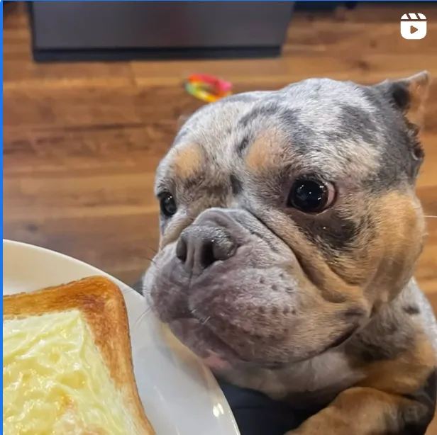 インスタグラムイメージ