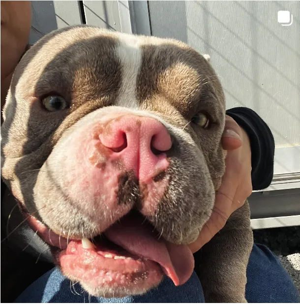 インスタグラムイメージ