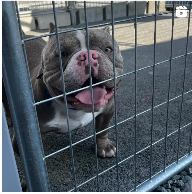 インスタグラムイメージ