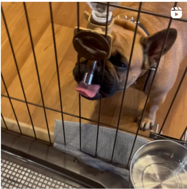 インスタグラムイメージ