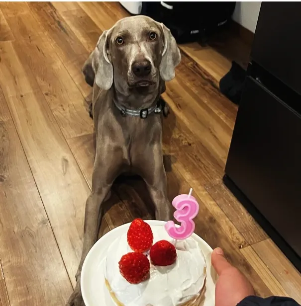 インスタグラムイメージ