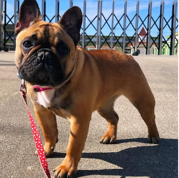 インスタグラムイメージ