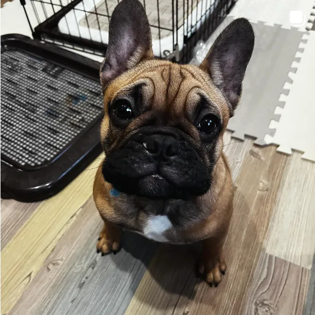 インスタグラムイメージ